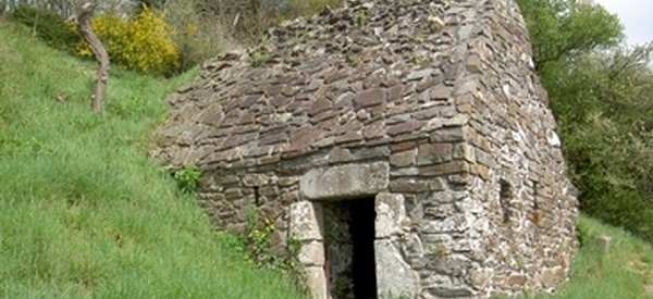 Top 5 du printemps à Saint-Jean-le-Thomas