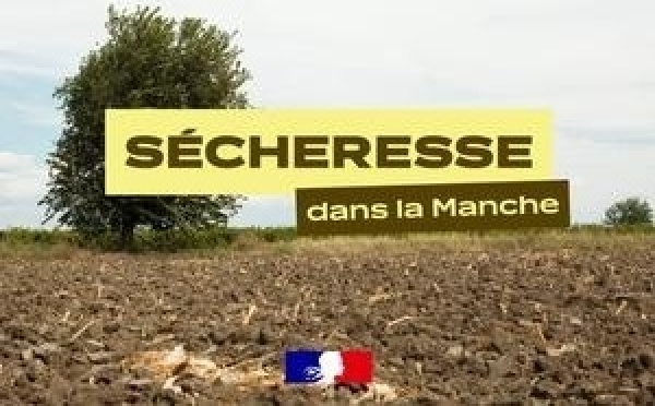 Sécheresse dans la Manche : retour au niveau de vigilance, les restrictions d’eau sont levées