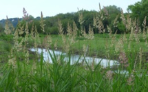 Atlas de la Biodiversité Communale - clôture 