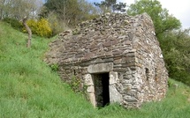 Top 5 du printemps à Saint-Jean-le-Thomas