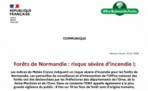 Forêts de Normandie : risque sévère d’incendie !