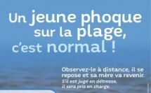 Saison des naissances des phoques veaux-marins : adoptons les bons réflexes !