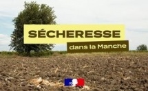 Sécheresse dans la Manche : retour au niveau de vigilance, les restrictions d’eau sont levées